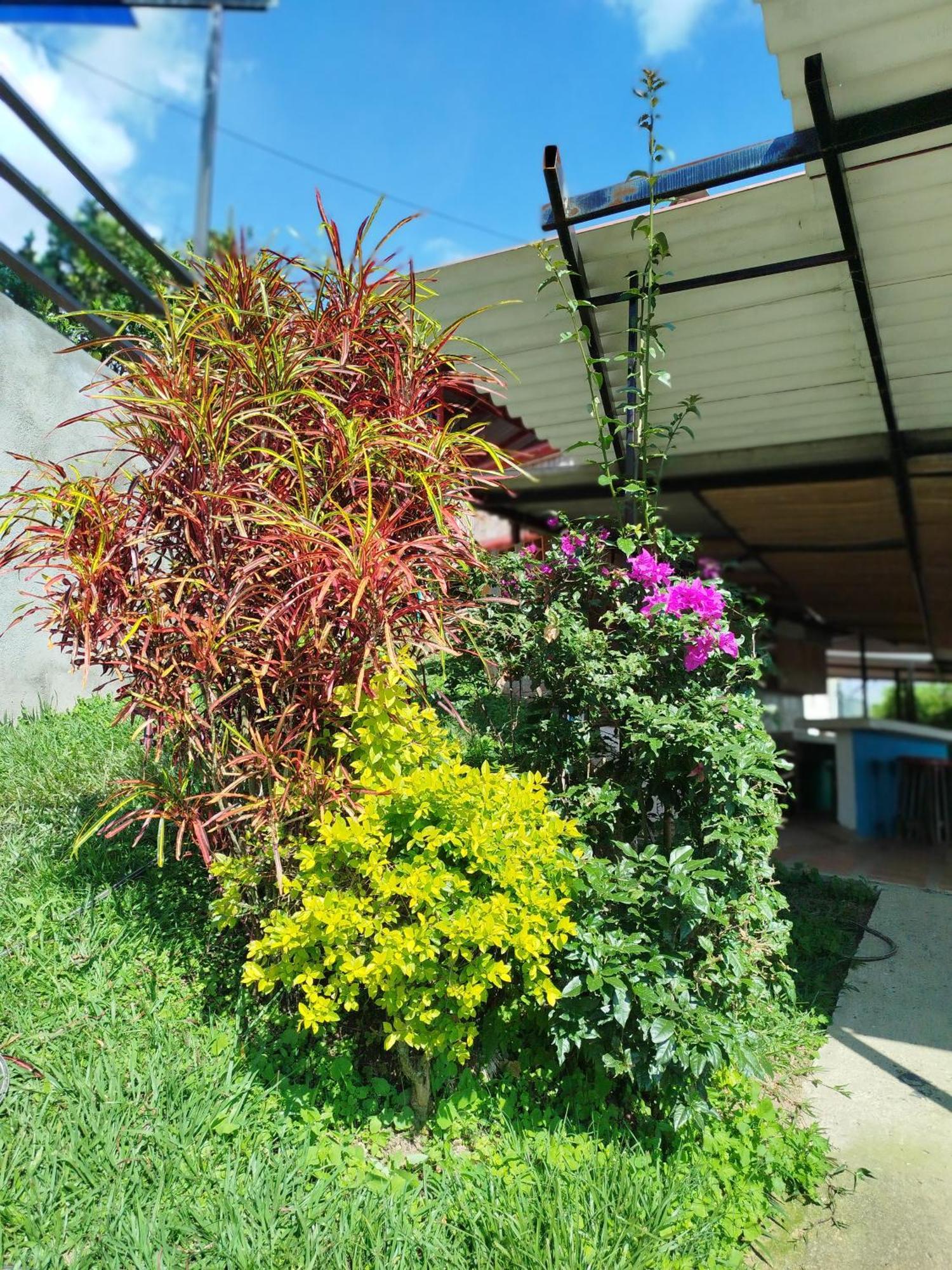 Mountain View Hostel San Peregrino المظهر الخارجي الصورة